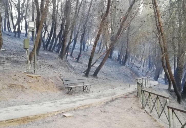 Το ΥΠΠΟΑ για το μυκηναϊκό νεκροταφείο στις Πόρτες Αχαΐας και την πυρκαγιά της 3ης Ιουλίου