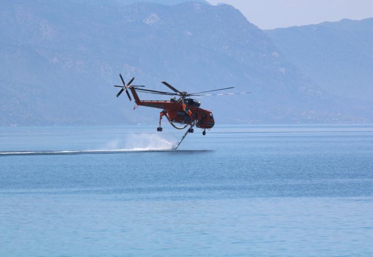 Μεγάλη πυρκαγιά σε εξέλιξη στα Ψαχνά