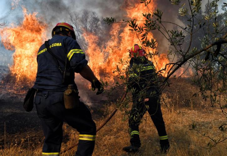 Ζάκυνθος: Στις φλόγες πευκοδάσος στον Ασκό - Μήνυμα εκκένωσης από το 112