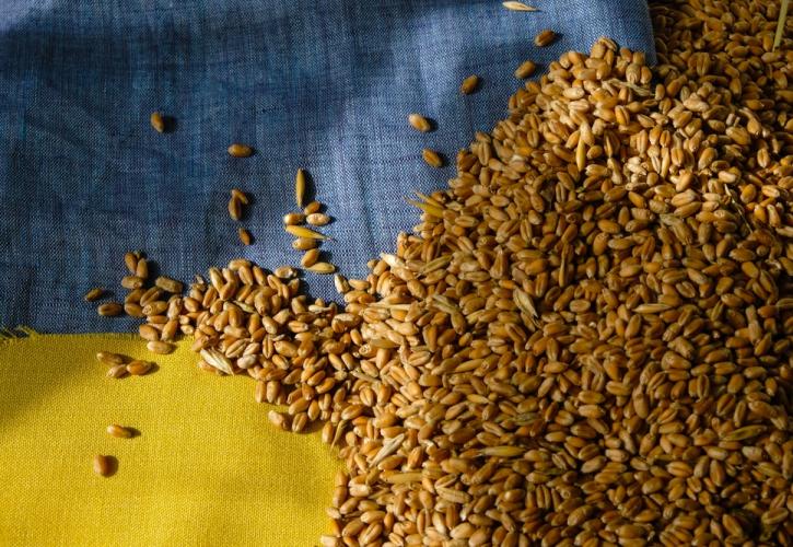 ΟΗΕ: Πάνω από μισό εκατομμύριο τόνοι σιτηρά εξήχθησαν από την Ουκρανία τον Αύγουστο