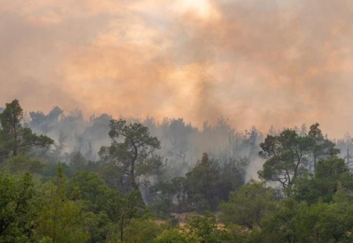 Η επόμενη ημέρα στο Εθνικό Πάρκο Δαδιάς