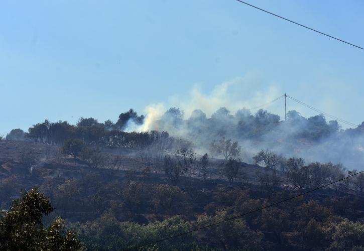 Οριοθετημένη η φωτιά στα Πυργιώτικα της Αργολίδας