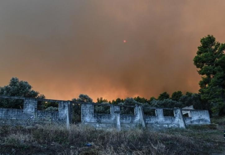 Σπάρτη: Οριοθετήθηκε η φωτιά στη Βασιλική Λακωνίας