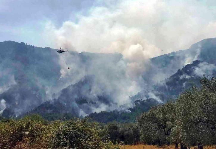 Αστεροσκοπείο: Η πυρκαγιά του Αυγούστου στη Θάσο έκαψε 2.770 στρέμματα (το 84% δασική έκταση)