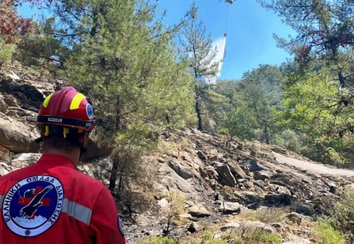 Υπό πλήρη έλεγχο η φωτιά στη Θάσο