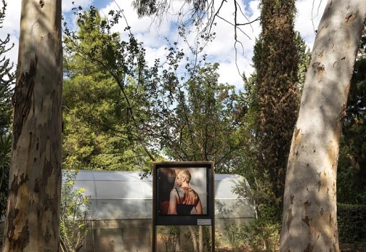 Sheltered Gardens: Η πρωτότυπη υβριδική έκθεση του PCAI άνοιξε για το κοινό και παρατείνεται μέχρι τις 09/10