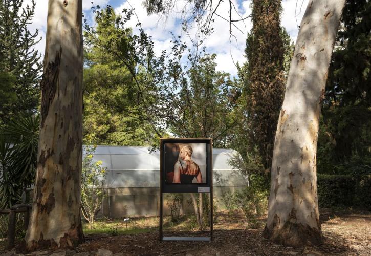 Sheltered Gardens: Η υβριδική έκθεση του PCAI σε συνεργασία με τον Βοτανικό Κήπο άνοιξε για το κοινό και παρατείνεται