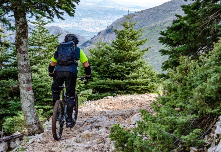 Απελευθέρωση Χρυσαετού στην Πάρνηθα