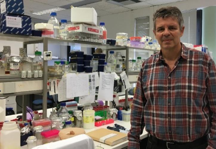 Ηράκλειο: Έρευνα για βιοεντομοκτόνα με φυσικό «οπλοστάσιο», κατά του δάκου και των κουνουπιών