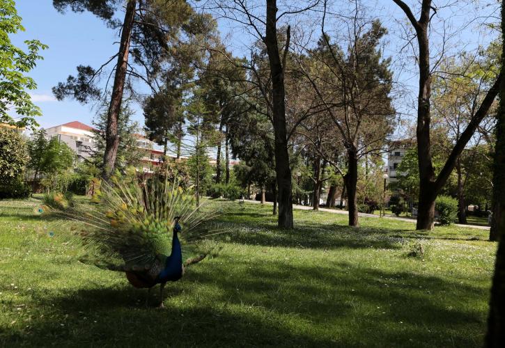 Παυσίλυπο: Αναβαθμίζεται ο πνεύμονας της Καρδίτσας