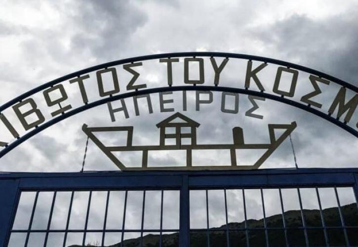 Μια Κιβωτός όπως Άουσβιτς; - Τα μανίκια της Δόμνας - Περιμένοντας την Έφη να μιλήσει οικονομικά