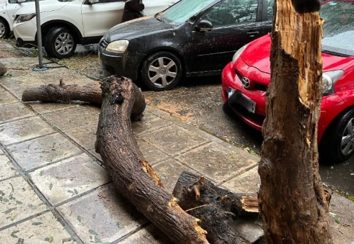 Κακοκαιρία Gaia: 158 κλήσεις έλαβε η Πυροσβεστική από το Σάββατο μέχρι και το απόγευμα της Κυριακής