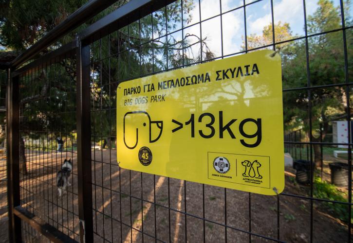 Αθήνα: Δύο νέα dog parks στο Άλσος Χωροφυλακής και Λόφο Λαμπράκη- Συνολικά 5 οι ασφαλείς χώροι για σκύλους