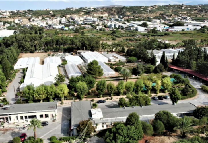 Tο χαρούπι στην Κρήτη - Το παρελθόν, το μέλλον και το νέο ερευνητικό έργο