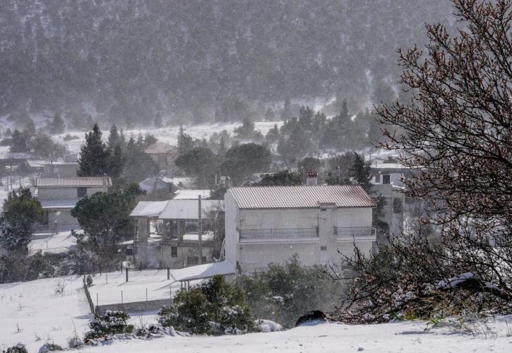 Κακοκαιρία Μπάρμπαρα: Συνεχίζονται τα προβλήματα στη Στερεά Ελλάδα, από τα χιόνια και τον παγετό