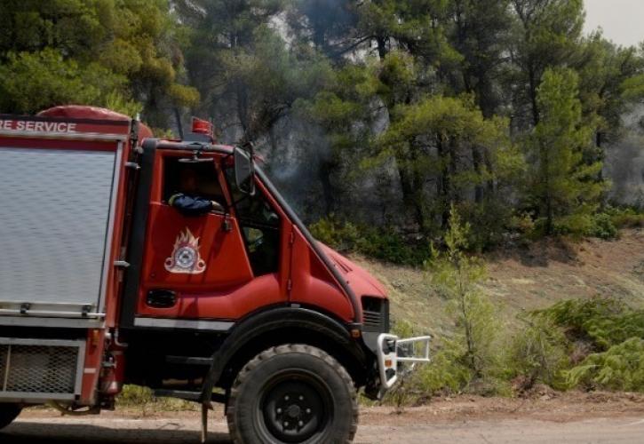 Πυρκαγιά σε αγροτοδασική έκταση στον Πισσώνα Ευβοίας - Υπό μερικό έλεγχο