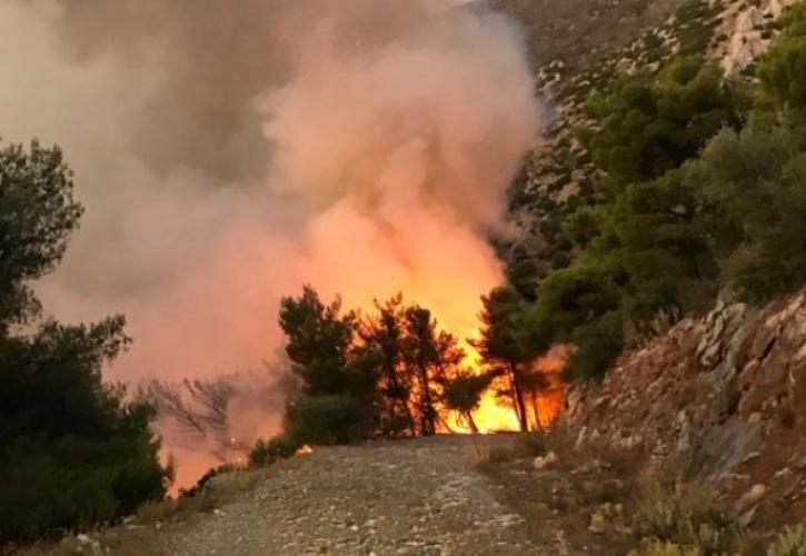 Υπό μερικό έλεγχο η πυρκαγιά σε αγροτοδασική έκταση στο Λημέρι Κορινθίας