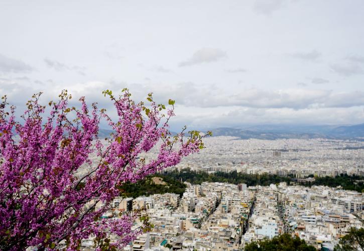 Ακίνητα: Τα ποσοστά αντιπαροχής στα οικόπεδα και οι τάσεις - Οι διαπραγματεύσεις εργολάβων και ιδιοκτητών