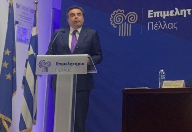 Σχοινάς: Η Κεντρική Μακεδονία είναι καθοριστικό κύτταρο για την παραγωγική δομή της Ελλάδας