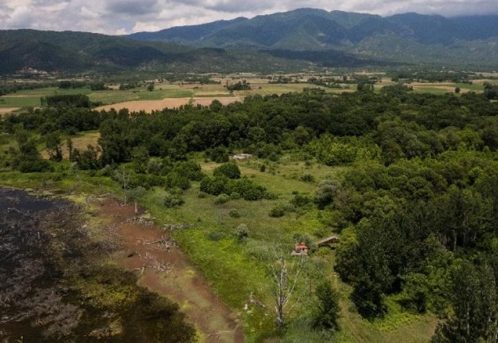 Συστήματα πυρανίχνευσης με AI αποκτά η Ελλάδα