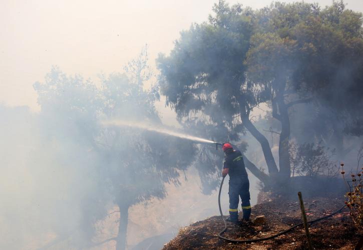 Ο εφιάλτης των πυρκαγιών... και μία, ας το πούμε, «αισιόδοξη» ματιά