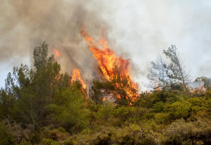 Εκκενώνονται περιοχές σε Μαγνησία και Λαμία - Πύρινος εφιάλτης σε Ρόδο και Κέρκυρα