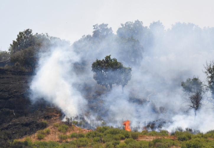 Συνελήφθη 87χρονος για εμπρησμό στον Άγιο Στέφανο Αττικής