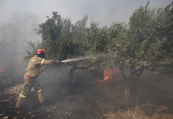 Φωτιές: Συνεχείς αναζωπυρώσεις στη Δυτική Αττική - Εκκενώθηκε η Οινόη και ακόμα επτά οικισμοί
