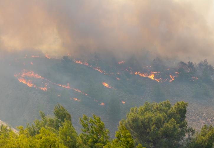 Πανεπιστήμιο Αθηνών: 135.000 στρέμματα δασικής έκτασης κάηκαν στη Ρόδο
