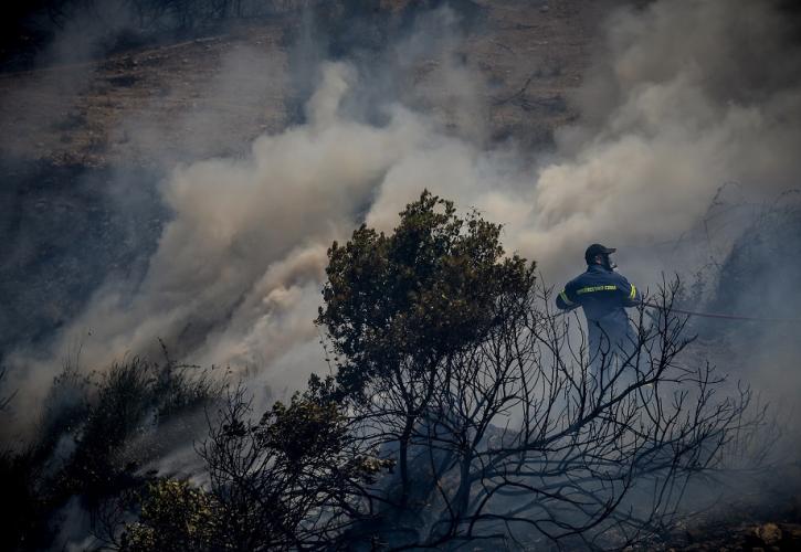 Αλιβέρι: Οριοθετήθηκε η πυρκαγιά - Συνελήφθη ηλικιωμένος