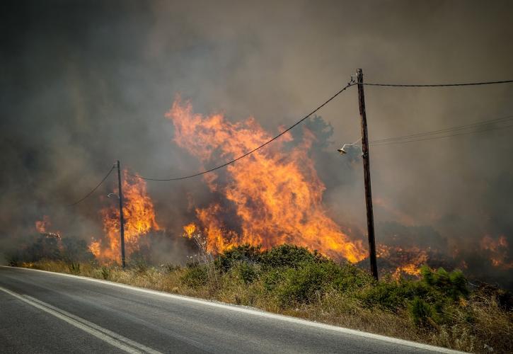 Πυροσβεστική: 44 δασικές πυρκαγιές το τελευταίο 24ωρο