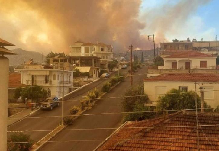 Πυρκαγιά στη Μαγνησία: Ξεκίνησε η καταγραφή ζημιών σε κτίρια, επιχειρήσεις και αγροτικές εκμεταλλεύσεις