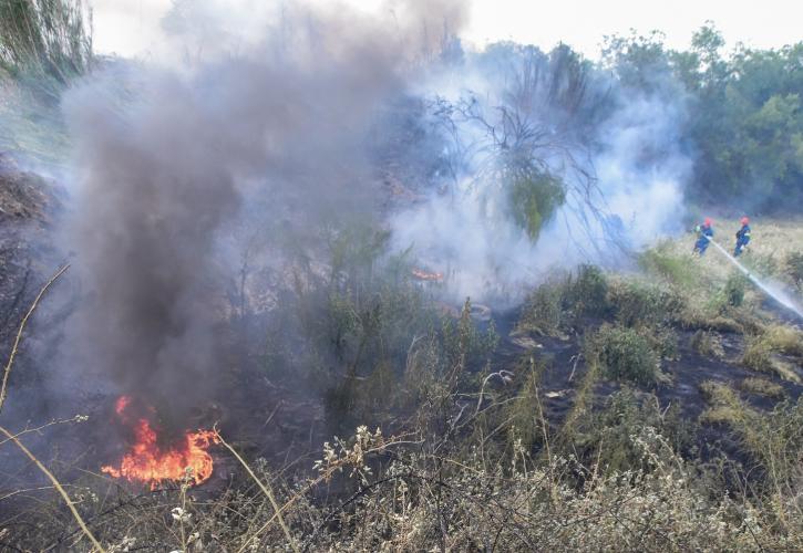 Πύργος: Οριοθετήθηκε η φωτιά στην Ηράκλεια της Αρχαίας Ολυμπίας