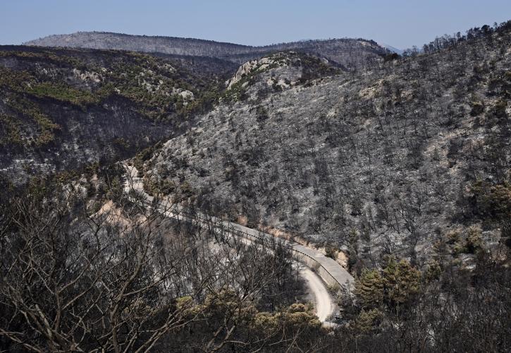 Η συνδρομή των Ενόπλων Δυνάμεων στα μέτωπα των πυρκαγιών