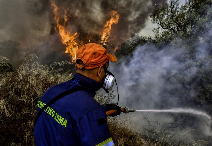 Πυροσβεστική: 56 αγροτοδασικές πυρκαγιές το τελευταίο εικοσιτετράωρο