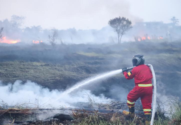 Φωτιά στη νότια Ιταλία - Απομακρύνθηκαν 1.000 τουρίστες