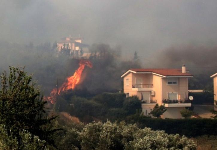 Σύλληψη ατόμου για εμπρησμό στον Αλμυρό Βόλου – Βρέθηκαν πάνω του εύφλεκτα υλικά