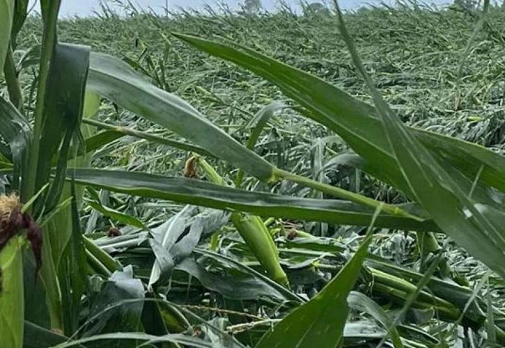 Μεγάλες καταστροφές στον κάμπο της Ξάνθης από χαλαζόπτωση και ανεμοστρόβιλο