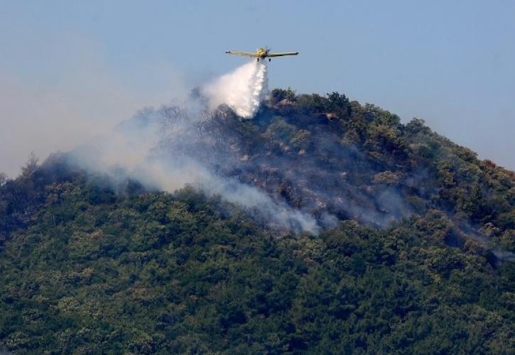 Eνεργοποιήθηκε η υπηρεσία Copernicus λόγω της πυρκαγιάς στην Αλεξανδρούπολη