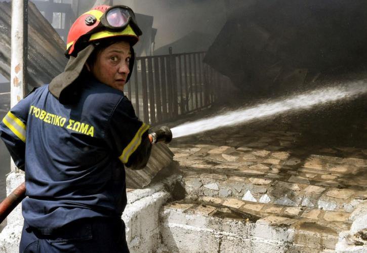 Άνιση μάχη με τις πύρινες γλώσσες στην Αλεξανδρούπολη: «Μπαράζ» μηνυμάτων από 112 για εκκενώσεις οικισμών