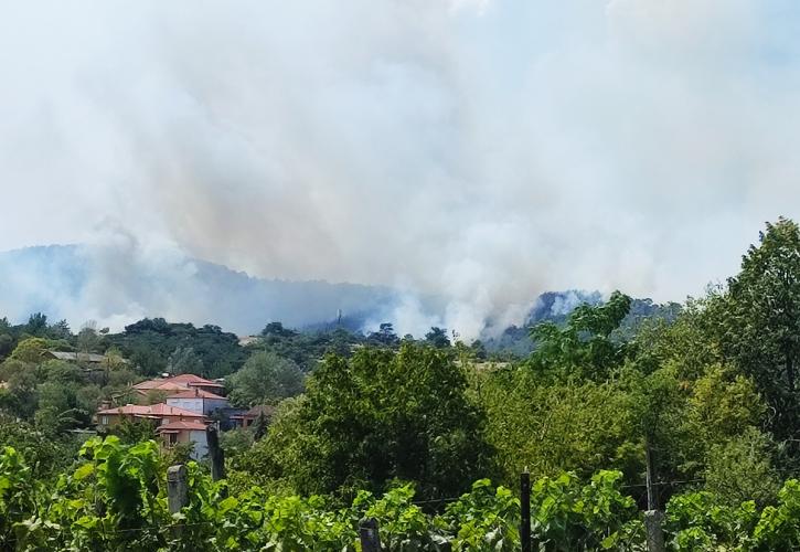 Για έκτη συνεχόμενη ημέρα καίγεται ο Έβρος: Μάχη να σβηστεί η φωτιά στη Δαδιά