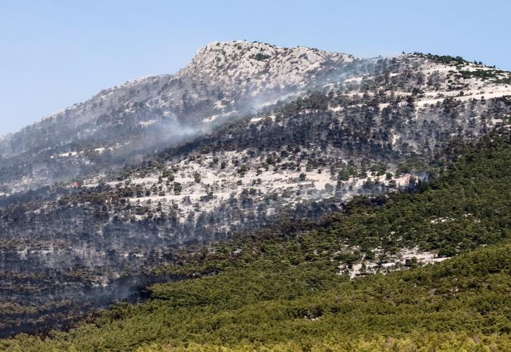 ΕΕ: Το 2022 οι πυρκαγιές έκαψαν 9 εκατ. στρέμματα - Η δεύτερη χειρότερη χρονιά από το 2000