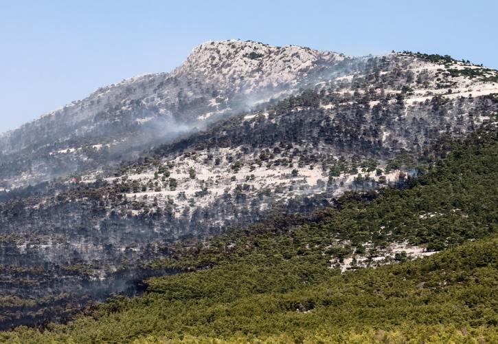 Εντοπίστηκε ανθρώπινο κρανίο στην Πάρνηθα