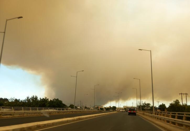 Αλεξανδρούπολη: Μέχρι χθες κάηκαν πάνω από 55.000 στρέμματα