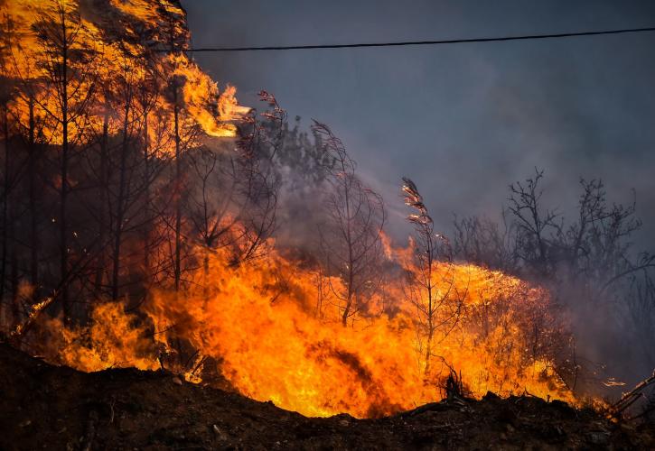 Φωτιές: Μάχη με τις φλόγες σε Εύβοια και Έβρο - Νεκρός κτηνοτρόφος στην Βοιωτία