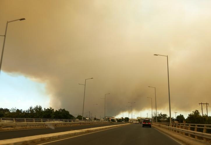 ΕΕ: Στην Αλεξανδρούπολη η μεγαλύτερη πυρκαγιά στην Ευρώπη από τη δεκαετία του '80