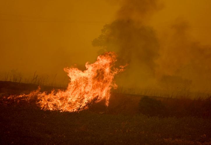 Καβάλα: Αντιμέτωποι με τις αναζωπυρώσεις οι πυροσβέστες σε Αβραμυλιά και Διαλεκτό
