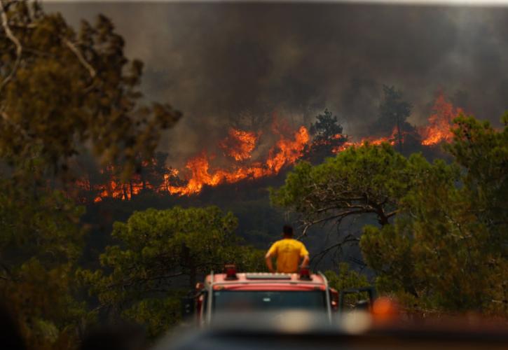 Δύσκολη η κατάσταση στον Έβρο - Μαίνεται για 13η ημέρα η πυρκαγιά στη Δαδιά