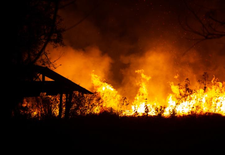 Συνεχίζεται η μάχη με τις πυρκαγιές στην Πορτογαλία, στο έλεος καύσωνα η Ισπανία