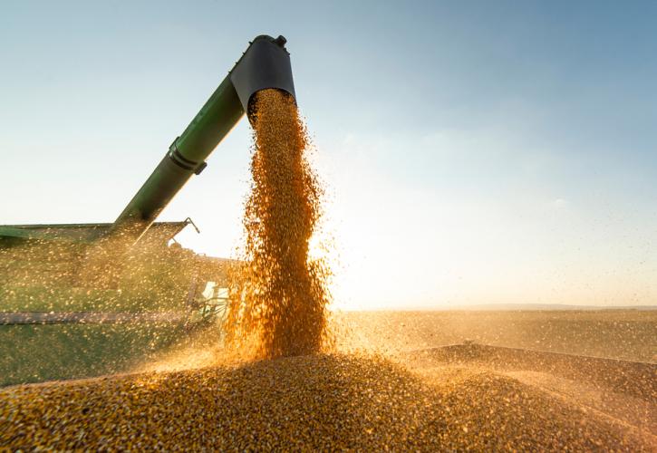 ΟΗΕ: Διαβουλεύσεις με τη Ρωσία για τις εξαγωγές σιτηρών και λιπασμάτων